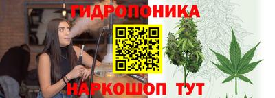 ГАЛЛЮЦИНОГЕННЫЕ ГРИБЫ Будённовск